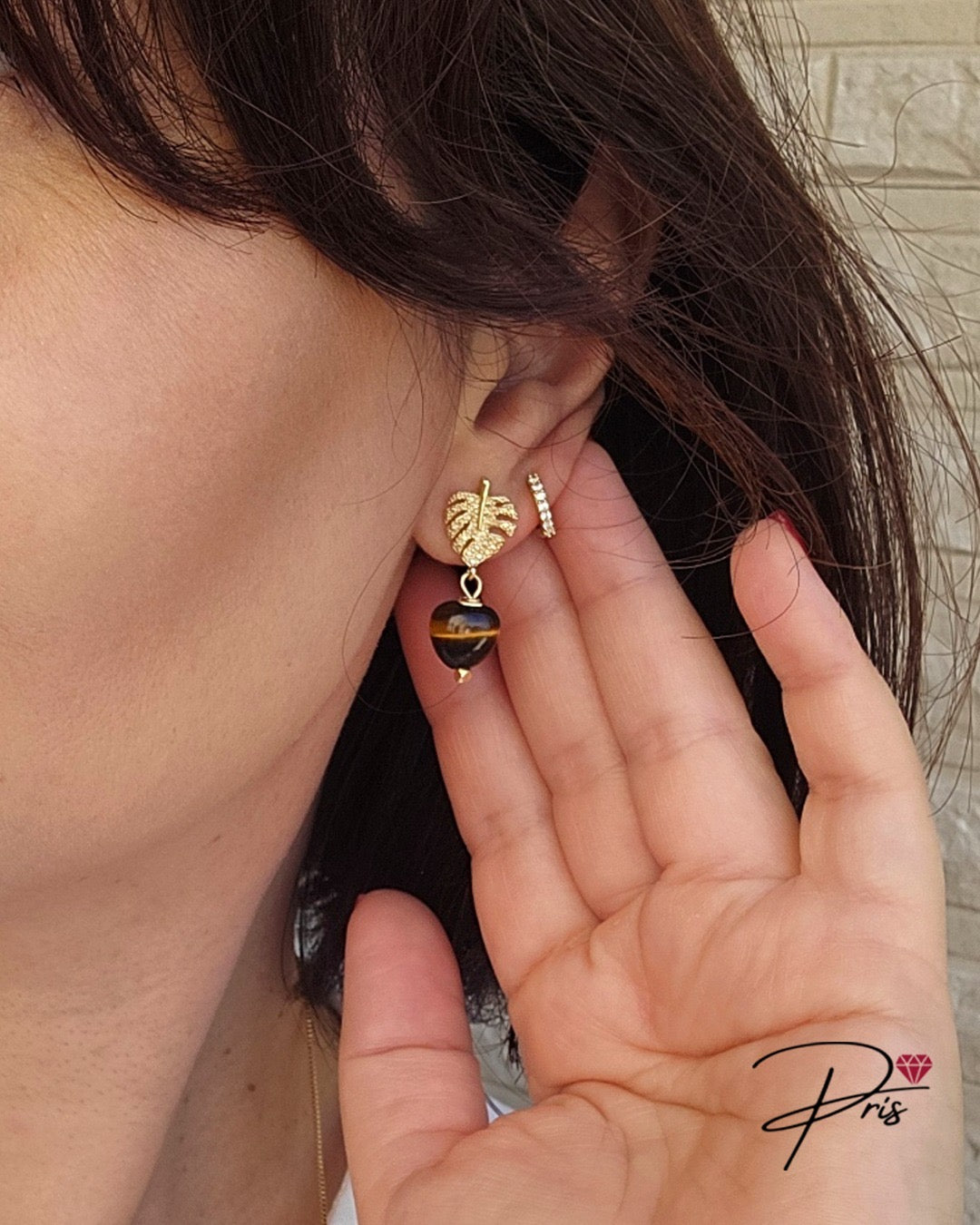 Brinco Olho De Tigre Pris Accessories